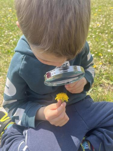 I lavori dei bambini